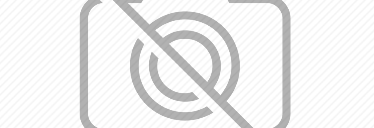 Camshield case